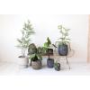 imageCreative CoOp Large Textured TerraCotta Planters Charcoal Set of 3