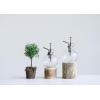 imageCreative CoOp Round Glass Plant Mister with Silver Top