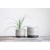 imageCreative CoOp White Stoneware Planters with Black Designs Set of 2 Designs