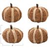 imageDried Natural Coco Fiber ampamp Raffia Pumpkin