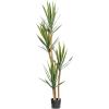 imageCreative CoOp Faux Yucca Tree in Plastic Pot Green