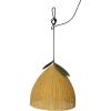imageCreative CoOp HandWoven Rattan Lemon Shaped Pendant Lamp Yellow and GreenHardwire Only