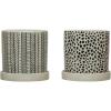 imageCreative CoOp Set of 2 65quot H Stoneware Saucer Pots and Planters Multi