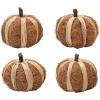 imageDried Natural Coco Fiber ampamp Raffia Pumpkin