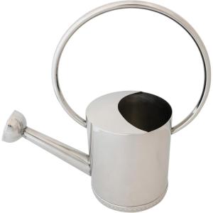 imageCreative CoOp 1 Gallon Stainless Steel Watering Can Nickel Finish
