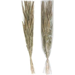 imageCreative CoOp 38quotH Dried Natural Canary Grass ampamp Date Palm Bunch