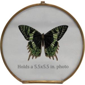 imageCreative CoOp Brass ampamp Glass Holds 512quot Round Photo Frame Multi Color