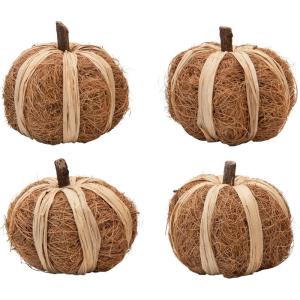 imageDried Natural Coco Fiber ampamp Raffia Pumpkin