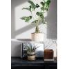 imageCreative CoOp Casting Stone Bowl wRattan Rim Planter Pot Buff