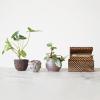 imageCreative CoOp Debossed Stoneware Planter with Pattern and Reactive Glaze Plum