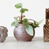 imageCreative CoOp Debossed Stoneware Planter with Pattern and Reactive Glaze Plum