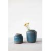 imageCreative CoOp Debossed TerraCotta Distressed Blue Finish Vase 8quot L x 8quot W x 9quot HUrn Shape