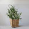imageCreative CoOp Handmade Bamboo Footed Plastic Liner Natural Pots and Planters 17quot L x 17quot W x 18quot H