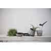 imageCreative CoOp S2 Terra Cotta w Saucers Planter Pot Brown ampamp White 2