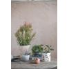 imageCreative CoOp S2 Terra Cotta w Saucers Planter Pot Brown ampamp White 2