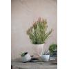 imageCreative CoOp S2 Terra Cotta w Saucers Planter Pot Brown ampamp White 2