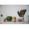 imageCreative CoOp S2 Terra Cotta w Saucers Planter Pot Brown ampamp White 2