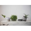 imageCreative CoOp S2 Terra Cotta w Saucers Planter Pot Grey ampamp Beige