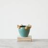 imageCreative CoOp Stoneware Planter with Frogs on Rim and Reactive Glaze Green and Yellow