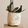 imageCreative CoOp TerraCotta Planter with Reactive Glaze Cream
