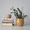 imageCreative CoOp Terracotta Raised Dots Matte Dijon Pots and Planters 11quot L x 11quot W x 9quot H YellowYellow