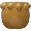 imageCreative CoOp Terracotta Raised Dots Matte Dijon Pots and Planters 11quot L x 11quot W x 9quot H YellowYellow