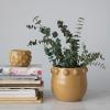 imageCreative CoOp Terracotta Raised Dots Matte Dijon Pots and Planters 11quot L x 11quot W x 9quot H YellowYellow