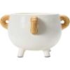 imageCreative CoOp Terracotta wRattan Accent Planter Pot Cream