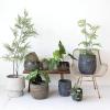 imageCreative CoOp Textured TerraCotta Planters Multicolor Set of 3