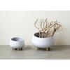 imageCreative CoOp White Planter with Wood Feet18 Inch Round