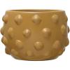 imageCreative CoOp Terracotta Raised Dots Matte Dijon Pots and Planters 11quot L x 11quot W x 9quot H YellowYellow