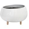 imageCreative CoOp White Planter with Wood Feet18 Inch Round