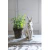 imageCeramic Rabbit with Distressed Cream Finish