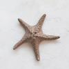 imageCreative CoOp Decorative Stoneware Starfish Brown Dcor