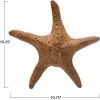 imageCreative CoOp Decorative Stoneware Starfish Brown Dcor