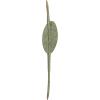 imageCreative CoOp Distressed Metal Tuna Tail Accent Decor Aqua