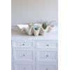 imageCreative CoOp White Magnesia Seashell Decoration