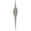 imageCreative CoOp Distressed Metal Trout Tail Accent Decor Aqua