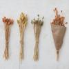 imageCreative CoOp Dried Natural Canary Grass Bunch Multicolor Set of 3