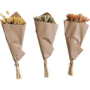 imageCreative CoOp Dried Natural Canary Grass Bunch Multicolor Set of 3