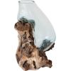 imageCreative CoOp Reclaimed Glass Terrarium Vase on Wood Base Clear and Natural