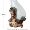 imageCreative CoOp Reclaimed Glass Terrarium Vase on Wood Base Clear and Natural