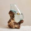 imageCreative CoOp Reclaimed Glass Terrarium Vase on Wood Base Clear and Natural