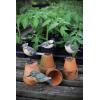 imageCreative CoOp Resin Birds with Metal Feet Set of 4 Styles