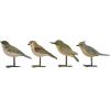 imageCreative CoOp Resin Birds with Metal Feet Set of 4 Styles