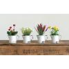 imageCreative CoOp Faux Flowers in Ceramic Pitcher Set of 4 Styles