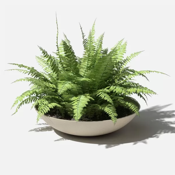 imageVeradek Mason Series Lane Bowl PlanterLarge Round Planter for Indoor or Outdoor TabletopsGardens Made from Plastic ampamp Concrete with Drainage HolesModern Dcor for Flowers Succulents Small PlantsSand