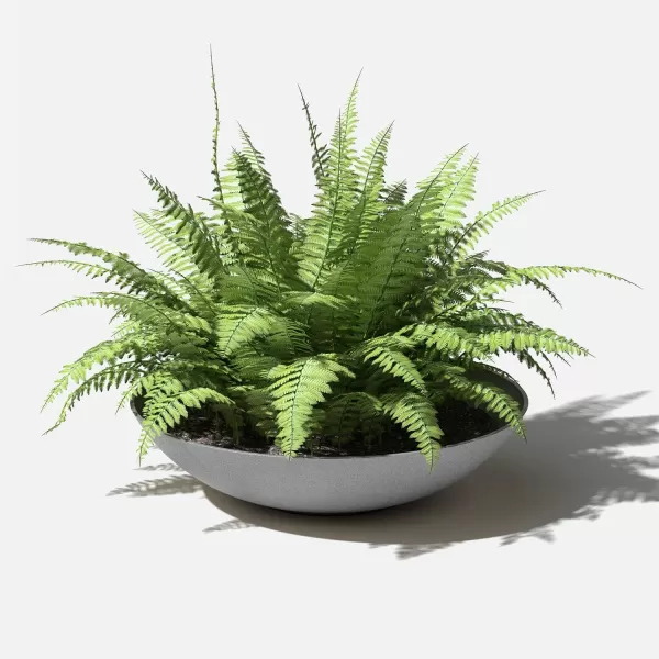 imageVeradek Mason Series Lane Bowl PlanterLarge Round Planter for Indoor or Outdoor TabletopsGardens Made from Plastic ampamp Concrete with Drainage HolesModern Dcor for Flowers Succulents Small PlantsGray