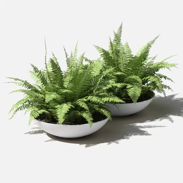 imageVeradek Mason Series Lane Bowl PlanterLarge Round Planter for Indoor or Outdoor TabletopsGardens Made from Plastic ampamp Concrete with Drainage HolesModern Dcor for Flowers Succulents Small PlantsWhite