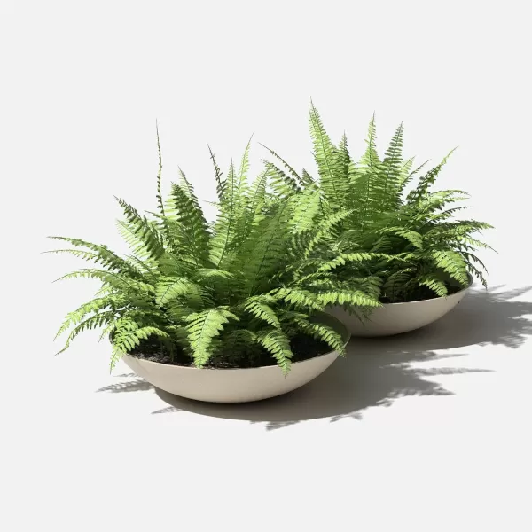 imageVeradek Mason Series Lane Bowl PlanterLarge Round Planter for Indoor or Outdoor TabletopsGardens Made from Plastic ampamp Concrete with Drainage HolesModern Dcor for Flowers Succulents Small PlantsSand